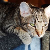 Profile Picture of Ann Roberts (@ann-roberts-76) on Quora