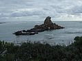 Profile Picture of Rapanui Rockon Wikipedia