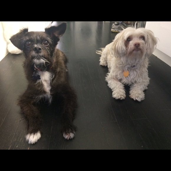 Profile Picture of Stephanie Moo-young (@stephmoo) on Poshmark