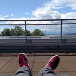 Profile Picture of Joseph Livesay (@joelivesayig) on Instagram