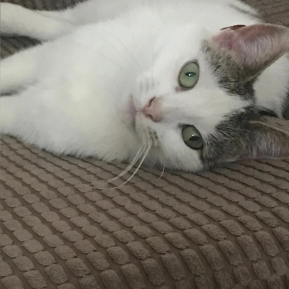 Profile Picture of Iola Kuettel (@iolakuettel) on Poshmark