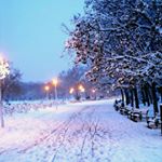 Profile Picture of marcelo ricardo silva almario (@marceloricardosilvaalmario) on Instagram