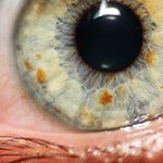 Profile Picture of Nuno Soares (@nosph0t0) on Instagram