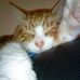 Profile Picture of Ginger B Tibbs (@gingerb.tibbs) on Facebook