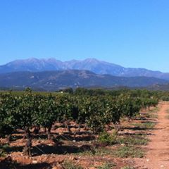 Profile Picture of Alexandra Bonnery (@alexandrabonnery) on Tiktok