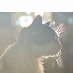 Profile Picture of Chandra Erickson (@ch_andra7023) on Instagram