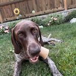 Profile Picture of Jason Bode (@jason.bode.50) on Instagram