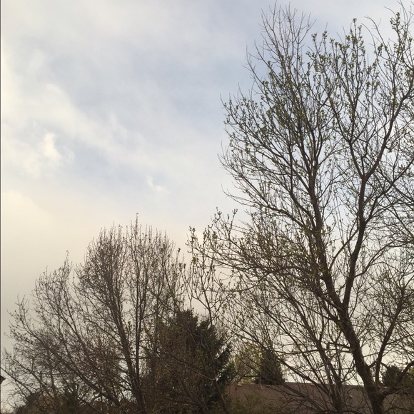 Profile Picture of Meadow Bliss (@pungodess) on Poshmark