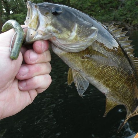 Profile Picture of Randy Wild (@randywild) on Poshmark