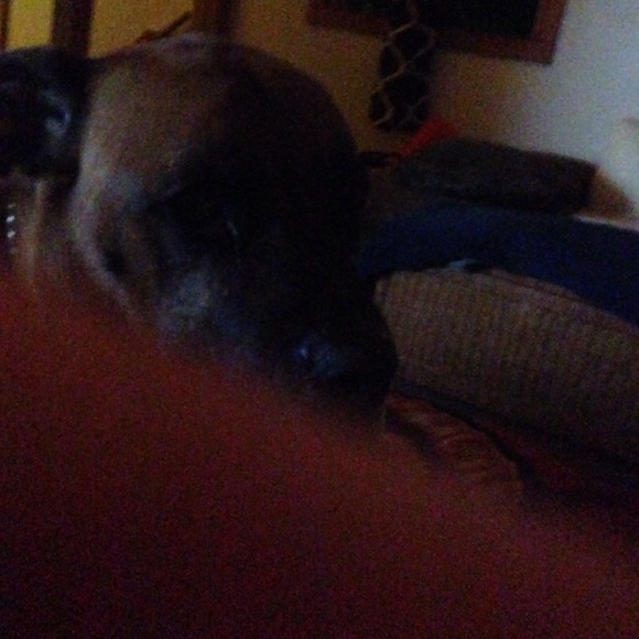 Profile Picture of Taylor Corrigan (@tcorr21) on Poshmark