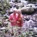 Profile Picture of Bradley Crabtree (@bradley.crabtree.90) on Facebook