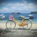 Profile Picture of Ella Formann (@scubarella) on Pinterest
