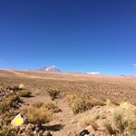 Profile Picture of Vicente james (@_vicho_james) on Instagram