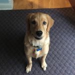 Profile Picture of Sherry Mahaffey (@sherry.mahaffey) on Instagram