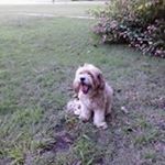 Profile Picture of James Quattrocchi (@qjimmyq) on Instagram