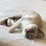 Profile Picture of Valeria Alexandra Nuñez Pando (@alexa_pando) on Instagram