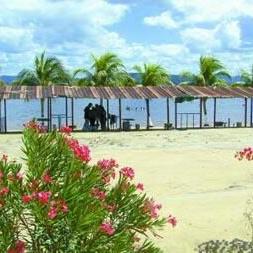 Profile Picture of Alicia Zamora (@carmenzamorag) on Twitter