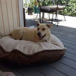 Profile Picture of Joe Huey (@huey.joe) on Instagram