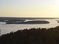 Profile Picture of Viikinsaarion Wikipedia