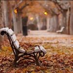 Profile Picture of Bu Son Bahar (@sayfaaa9897) on Instagram