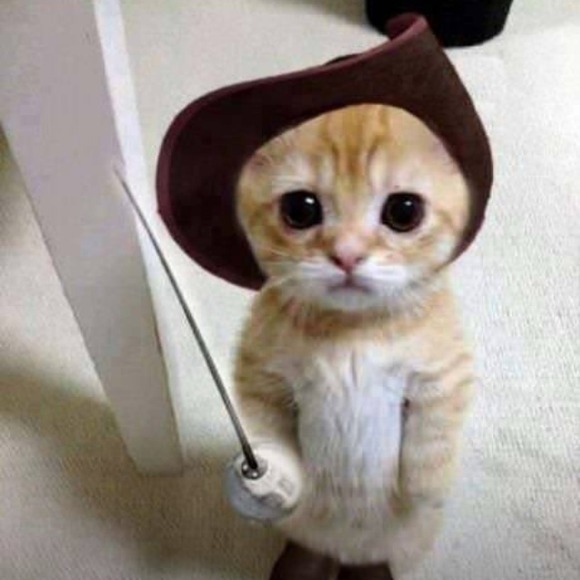 Profile Picture of Dea ann Calvert (@dea_ann) on Poshmark