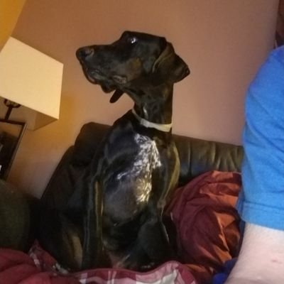 Michael Trusty - Twitter Profile Picture of Michael Trusty (@MichaelTrusty6) on Twitter