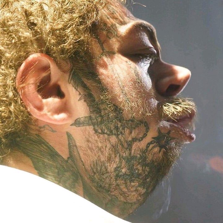 Profile Picture of Andrew Weidenbach (@flrlgrn) on Tiktok