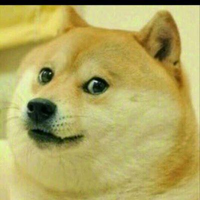 Profile Picture of Brian Hitch (@BrianHitch) on Twitter