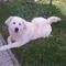 Profile Picture of Dusan Moravec (@Dusan-Moravec) on Facebook