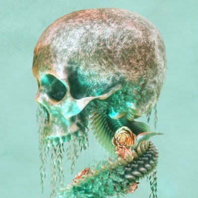 Profile Picture of Daniel Thill (@danielthill5) on Twitter