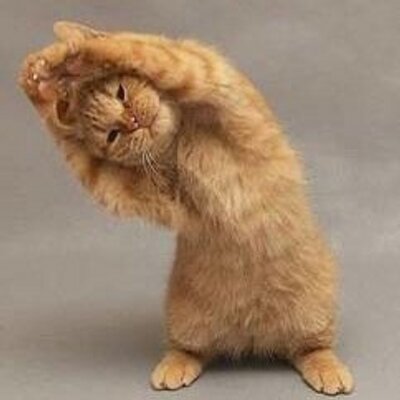 Profile Picture of Christine Lausecker (@Speedi57) on Twitter