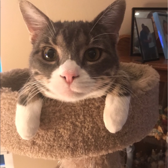 Ron Larson - Poshmark Profile Picture of Ron Larson (@rklarson64) on Poshmark