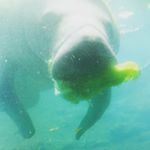 Profile Picture of Nolan Chandler (@nolanchandler2007) on Instagram