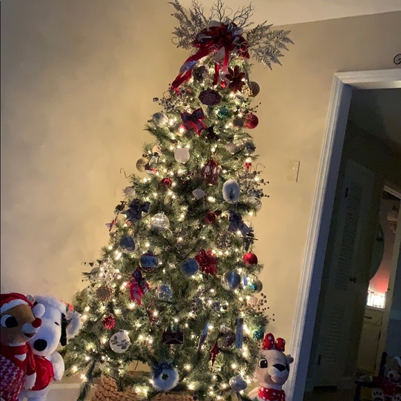 Profile Picture of Paula Brown (@psb0521) on Poshmark