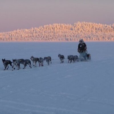 Profile Picture of Jeff King, Speaker (@JeffKingTour) on Twitter