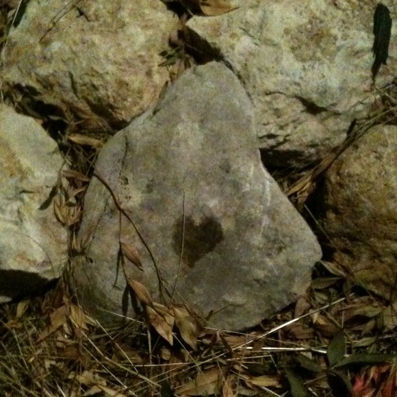 Profile Picture of Samantha Lemense (@samblemense) on Poshmark