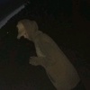 Profile Picture of Taber (@@brad_taber) on Tiktok
