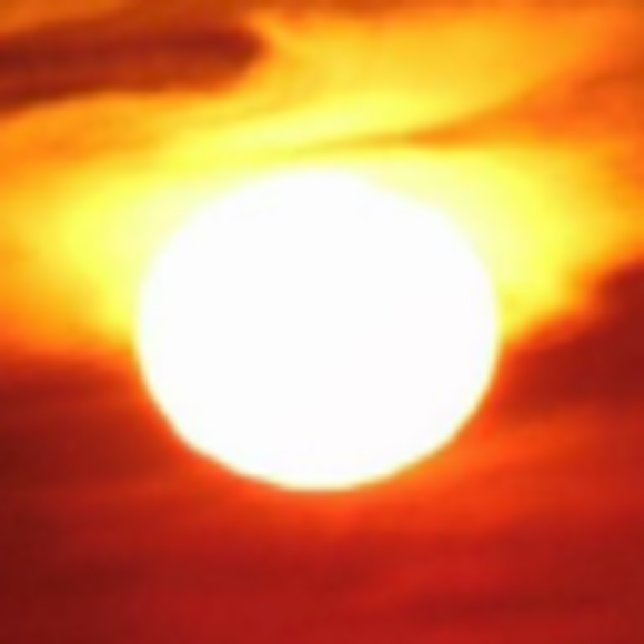 Profile Picture of Austin Crittendon (@crittendona22) on Poshmark