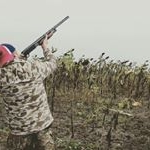 Profile Picture of Mario Iñiguez (@mario_inigu) on Instagram