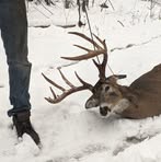 Profile Picture of John Mazzulla (@john.mazzulla) on Facebook