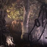 Colin Holden Design - Instagram Profile Picture of Colin Holden Design (@colinholdendesign) on Instagram