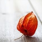 Profile Picture of Nóra Danyi (@d.nora89) on Instagram