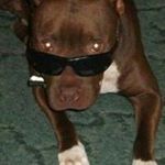 Profile Picture of Christie McKendrick (@christie7391) on Instagram