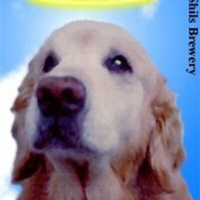 Profile Picture of Dan Noon (@ShilsBrewery) on Twitter