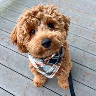 Profile Picture of Calvin (@calvinsworld) on Instagram