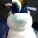 Profile Picture of Michael McLeish (@pingou_mcpingou) on Instagram