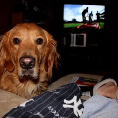 Profile Picture of Bob Visicaro (@rvisicar) on Twitter