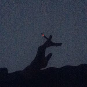 Profile Picture of Autumn Sadness (@autumn.sadness5) on Tiktok