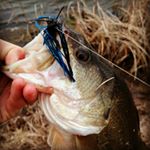 Profile Picture of kyle swartzentruber (@kyleswartzentruber50) on Instagram