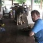 Profile Picture of Jeff Gillis (@gillsworth) on Instagram